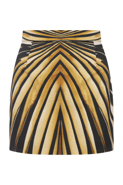 ROBERTO CAVALLI - Skirts