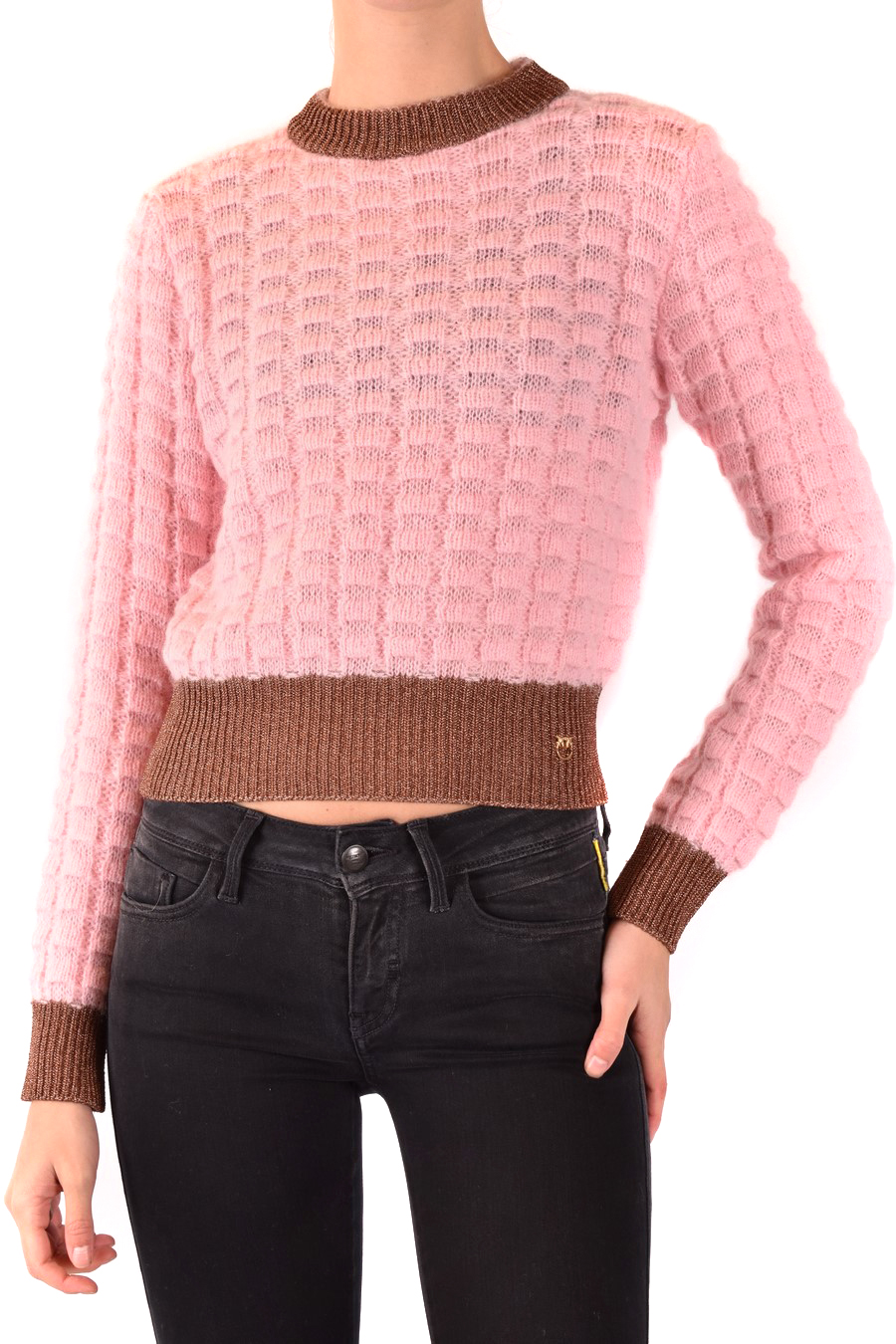 Pullover pinko discount